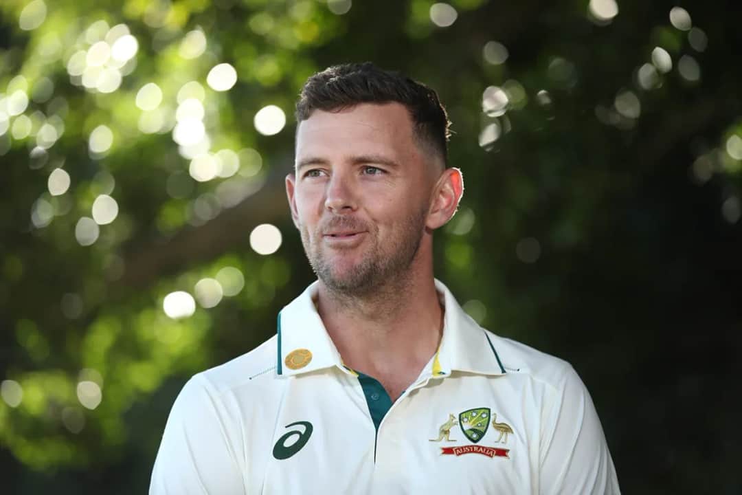 Hazlewood news Starc Cummins.webp