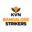 Bangalore Strikers Flag