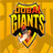 Dubai Giants Flag