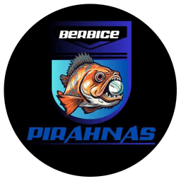 Team logo
